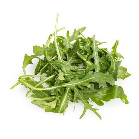 ARUGULA ORGANIC .66 OZ