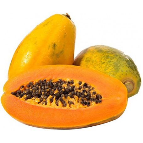 PAPAYA/PAWPAW REGULAR