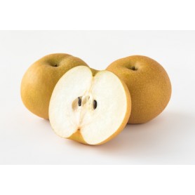 ASIAN/NASHI PEARS