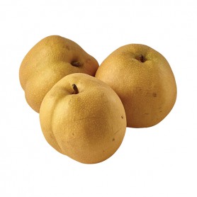 ASIAN/NASHI PEARS
