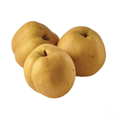 ASIAN/NASHI PEARS