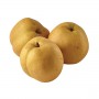 ASIAN/NASHI PEARS