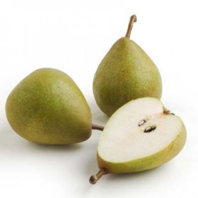 PEARS - FRENCH