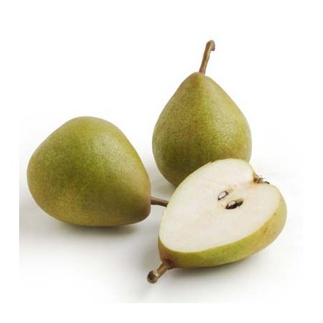PEARS - FRENCH