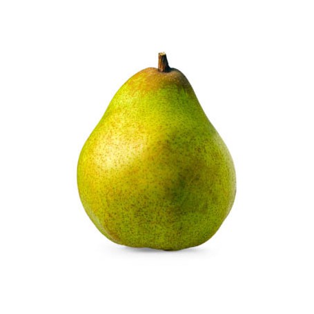 COMICE/ DOYENNE DU COMICE PEARS