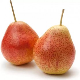 FORELLE/CORELLA PEARS