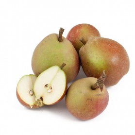 PEARS SECKEL