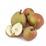 PEARS SECKEL