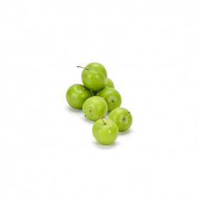 PLUMS GREEN
