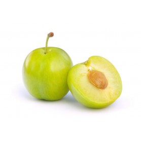 PLUMS GREEN