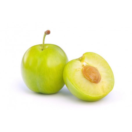 PLUMS GREEN