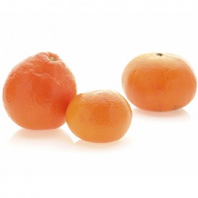 RETAILER ASSIGNED TANGERINES/MANDARINS