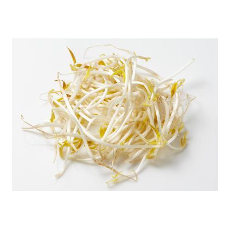 SPROUTS MUNG BEAN