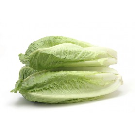 LETTUCE ROMAINE HEARTS CHR WM