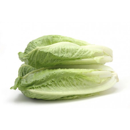 LETTUCE ROMAINE HEARTS CHR WM
