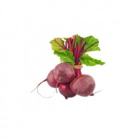 BUNCH BEETS