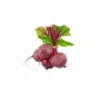 BUNCH BEETS