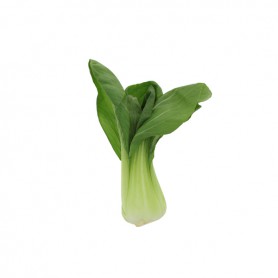 BOK CHOY (PAK CHOY) SMALL
