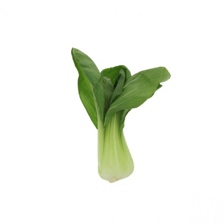 BOK CHOY (PAK CHOY) SMALL