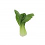 BOK CHOY (PAK CHOY) SMALL