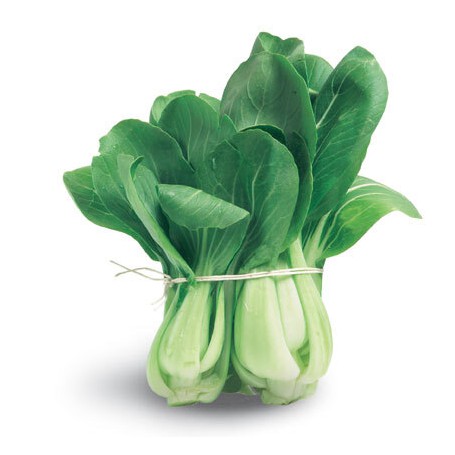 BOK CHOY (PAK CHOY)