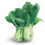 BOK CHOY (PAK CHOY)