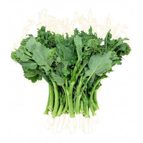 BROCCOLI RABE (ITALIAN RAPINI) CHINESE B