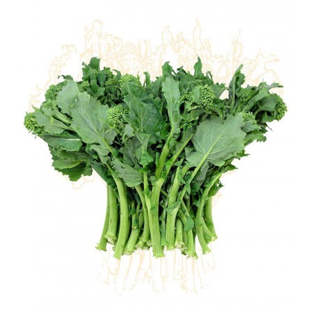 BROCCOLI RABE (ITALIAN RAPINI) CHINESE B