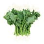 BROCCOLI RABE (ITALIAN RAPINI) CHINESE B