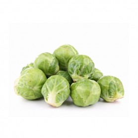 BRUSSEL SPROUTS