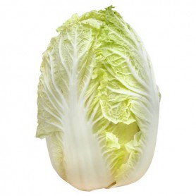 CHINESE/NAPA/WONG BOK CABBAGE