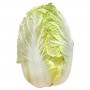 CHINESE/NAPA/WONG BOK CABBAGE
