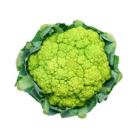 CAULIFLOWER GREEN