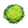 CAULIFLOWER GREEN