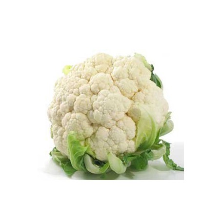 CAULIFLOWER