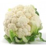 CAULIFLOWER