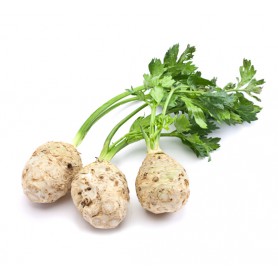 CELERY ROOT/CELERIAC