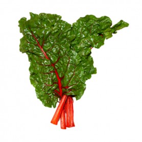 CHARD (SWISS CHARD)/SILVBEETGR
