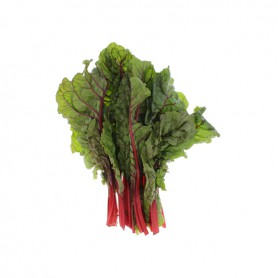 CHARD (SWISS CHARD)/SILVERBEET