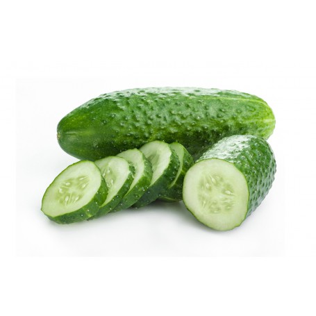 PICKLING/GHERKIN CUCUMBER