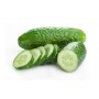 PICKLING/GHERKIN CUCUMBER