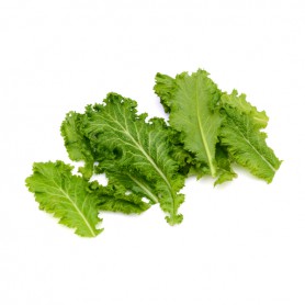 MUSTARD GREENS