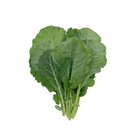 MUSTARD GREENS TEXAS
