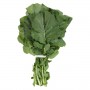 TURNIP GREENS