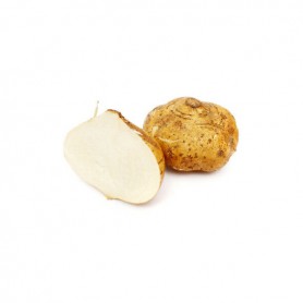 JICAMA/YAM BEAN