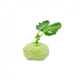 KOHLRABI