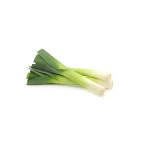 LEEKS REGULAR