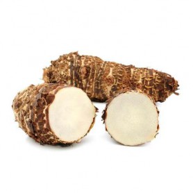 MALANGA