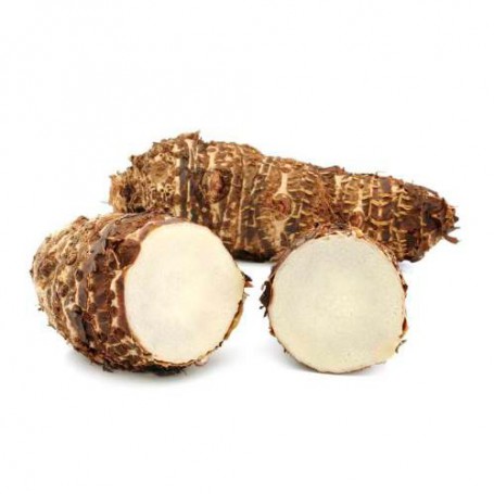 MALANGA