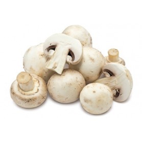 BUTTON MUSHROOMS, REGULAR